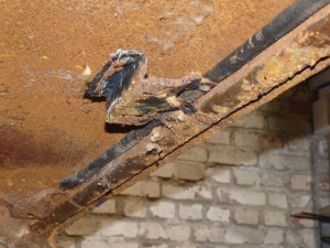 p1020364