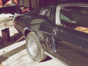 eleanor11