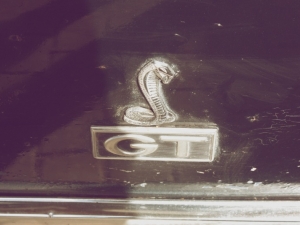 eleanor12