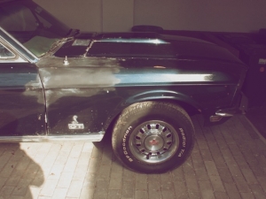 eleanor13