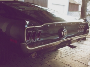 eleanor19