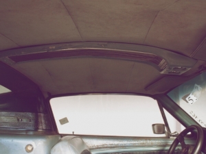 eleanor6