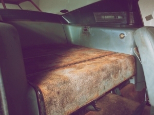 eleanor7