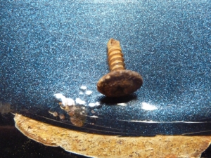 p1020271