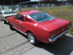 sam_0973