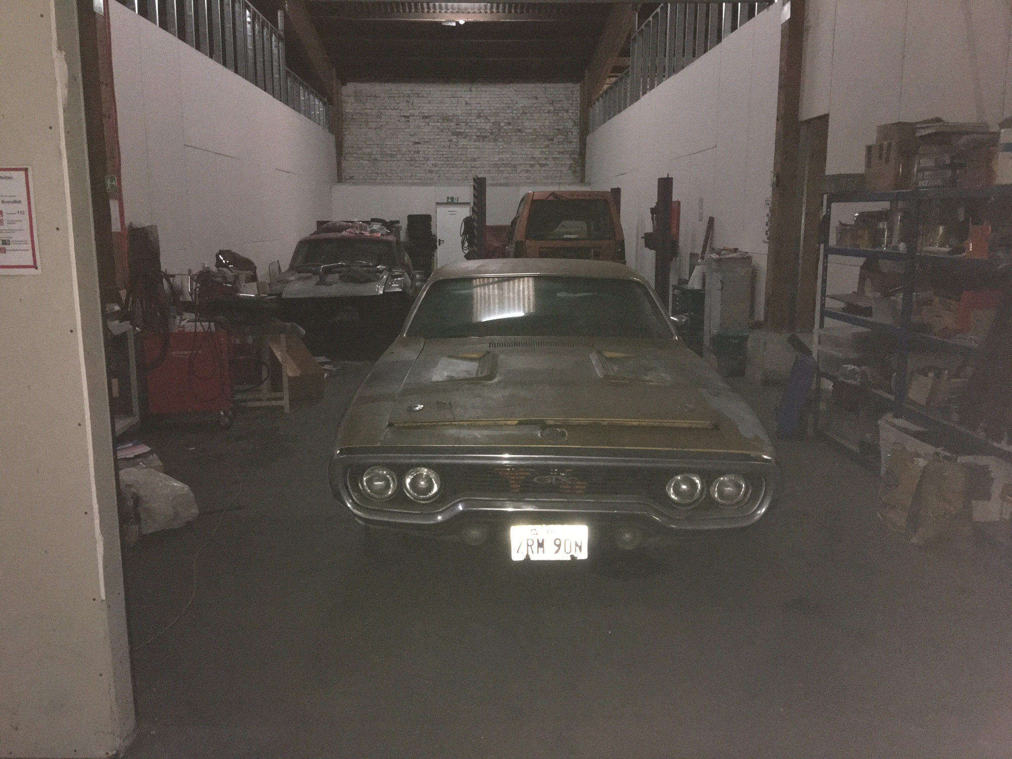 Aurelia kommt in ihr neues zu Hause